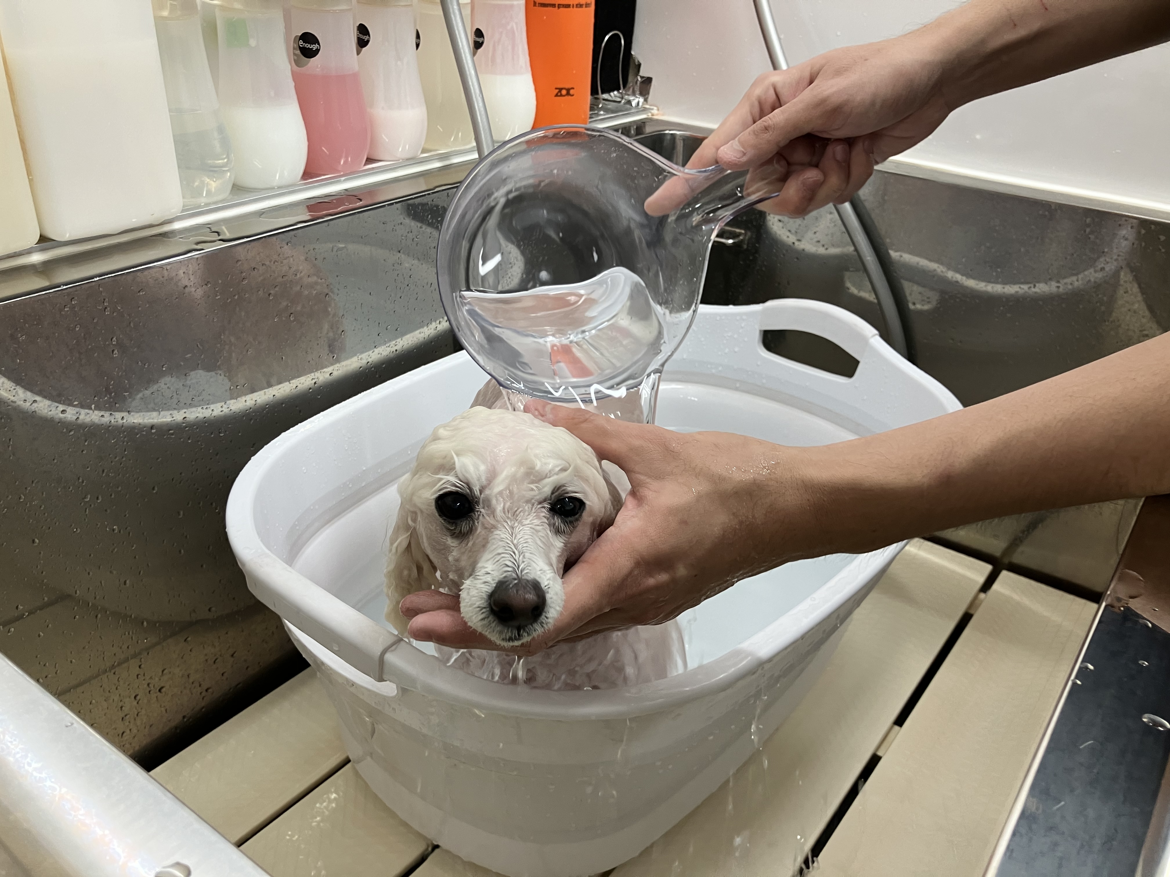 [写真]